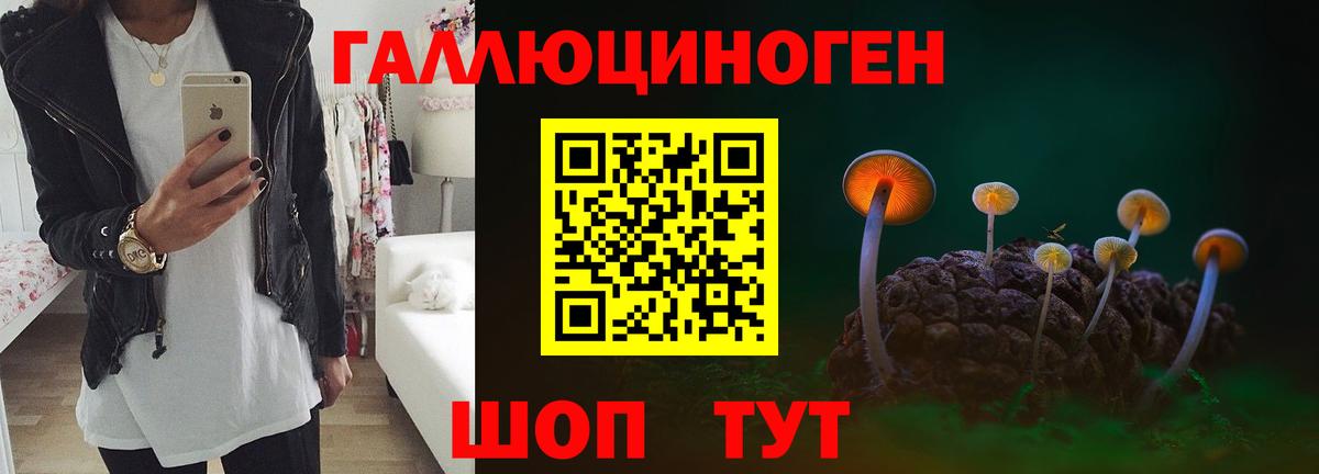 Курчатов  Псилоцибиновые грибы мицелий  Вход с VPN 