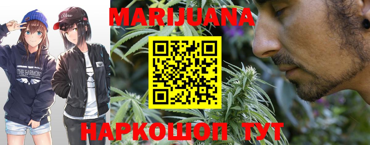 Каннабис планчик  Марихуана семена  Курчатов  Вход с VPN 